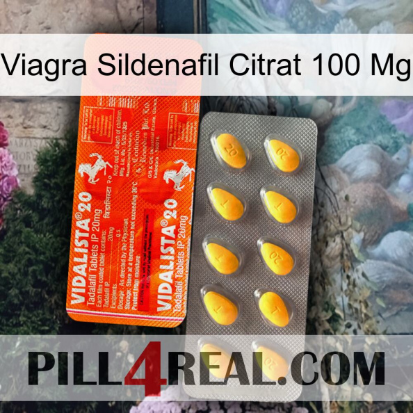 Viagra Sildenafil Citrate 100Mg new01.jpg